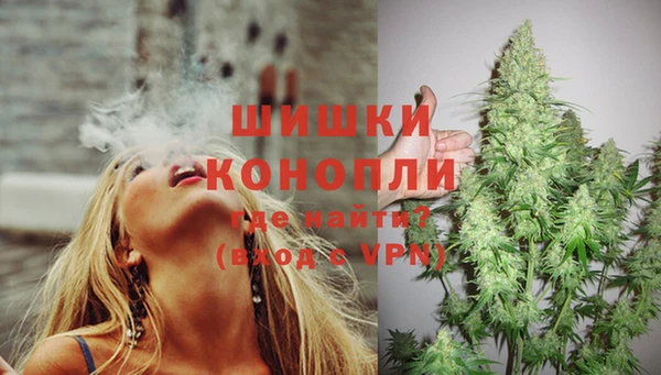 стаф Горно-Алтайск