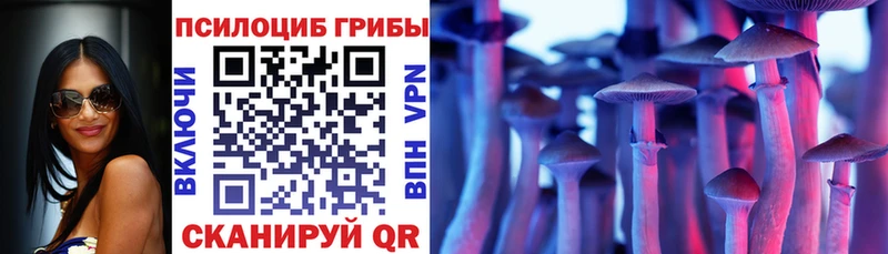 blacksprut ссылка  darknet какой сайт  Псилоцибиновые грибы мицелий  где купить   Ельня 